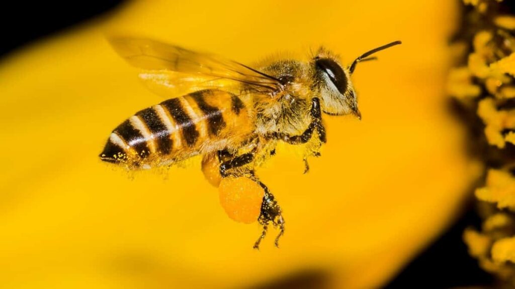 How South Africa Snapchat Bloggers Can Collaborate With Italy Advertisers in 2025