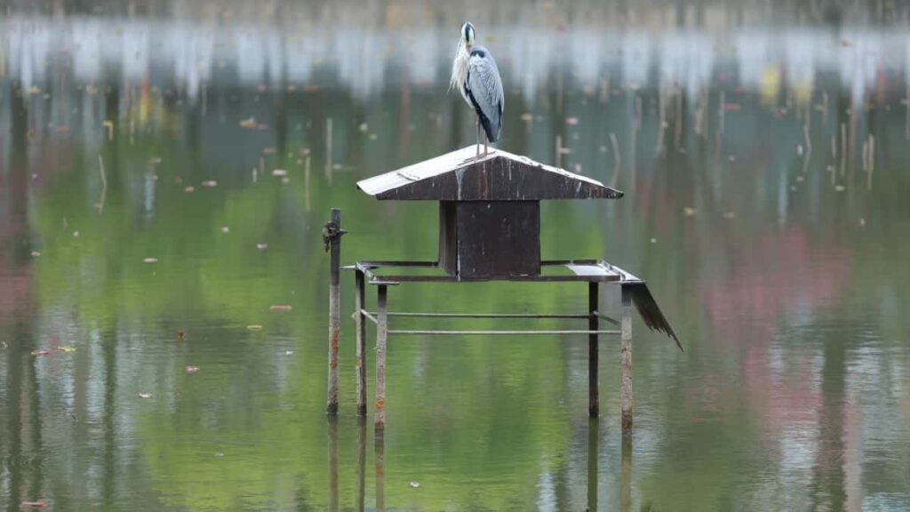 How South Africa Snapchat bloggers can collaborate with Zambia advertisers in 2025