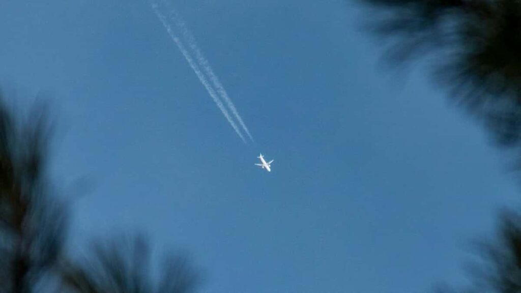 How South Africa Twitter bloggers can collaborate with Lesotho advertisers in 2025