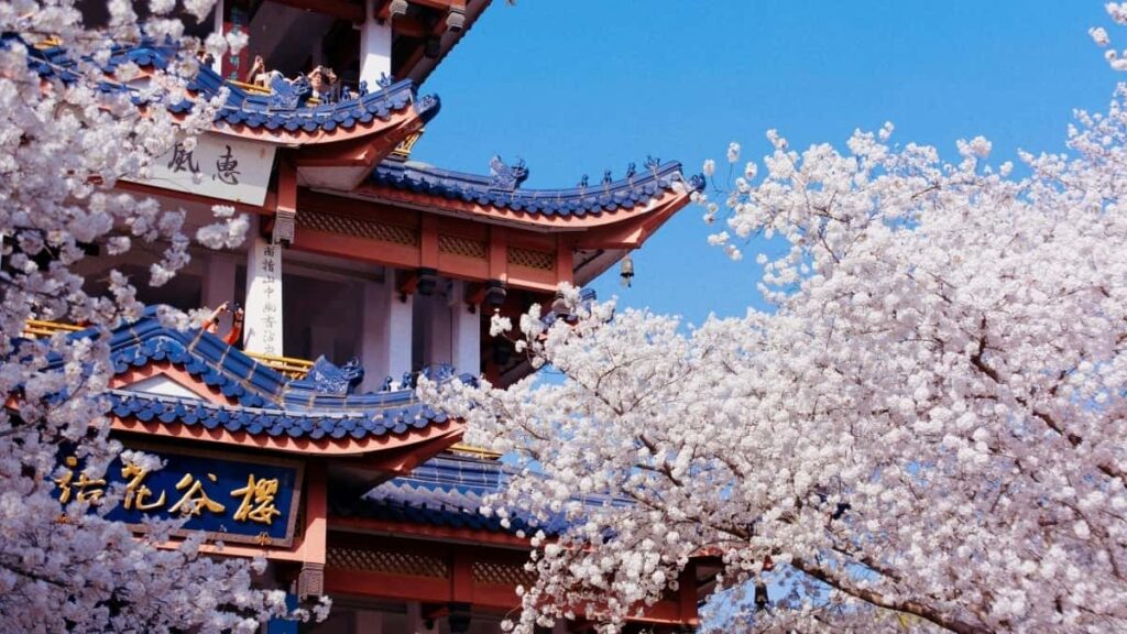 2025 Russia LinkedIn AllCategory Advertising Rate Card South Africa