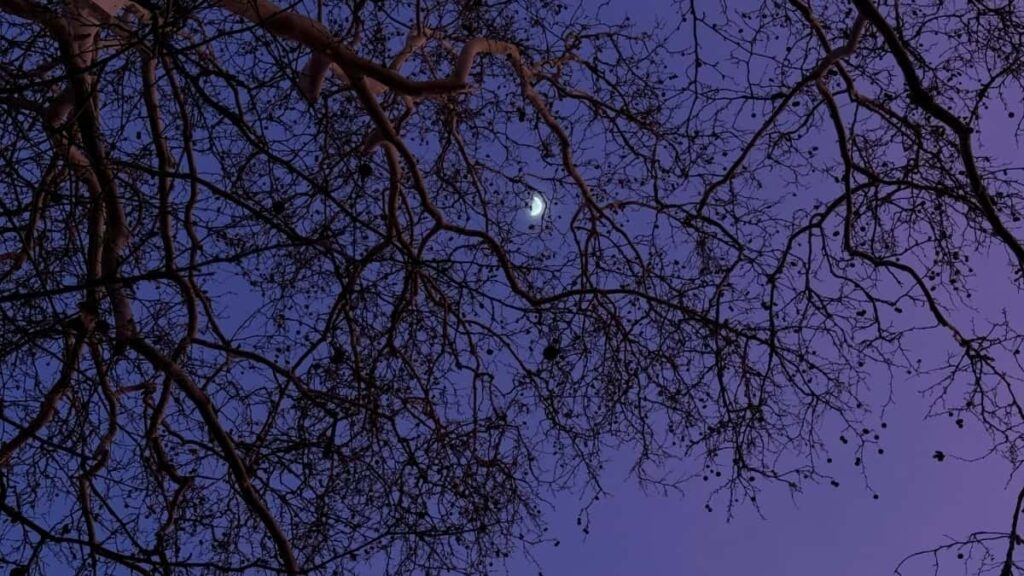 2025 Kenya Instagram AllCategory Advertising Rate Card for South Africa