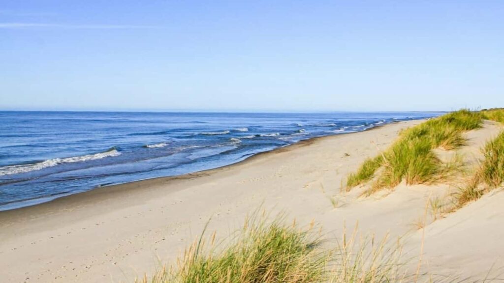 2025 China Telegram AllCategory Advertising Rate Card for South Africa