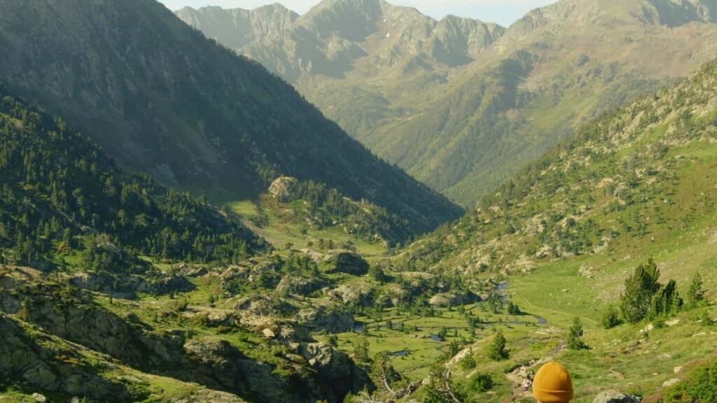 2025 Italy Instagram AllCategory Advertising Rate Card South Africa Guide