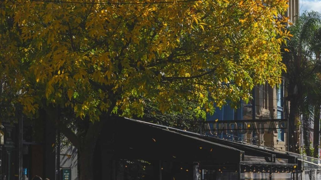 2025 Egypt LinkedIn All Category Advertising Rate Card South Africa