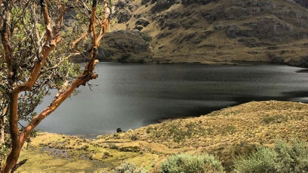 2025 Australia LinkedIn Advertising Izindleko Zezikhangiso eSouth Africa