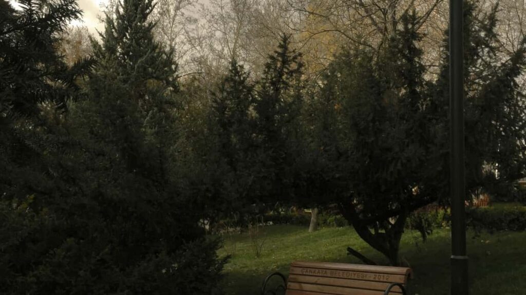 2025 Mozambique Facebook Advertising Amanani Wezindleko eSouth Africa