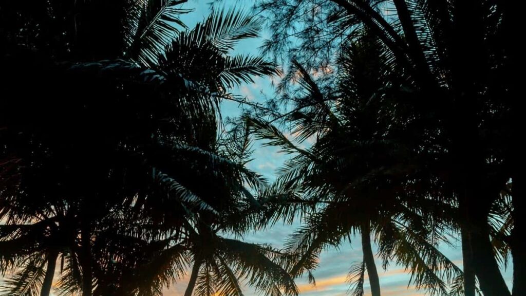 2025 Canada Snapchat Izindleko Zokukhangisa Zonke Izigaba