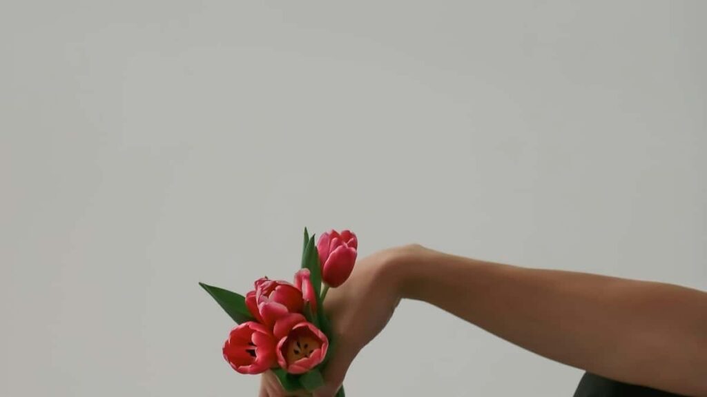 2025 Swaziland Snapchat Advertising Rate Card South Africa