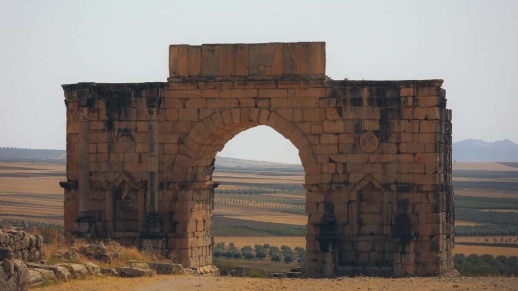 2025 Swaziland WhatsApp All Category Advertising Rate Card South Africa