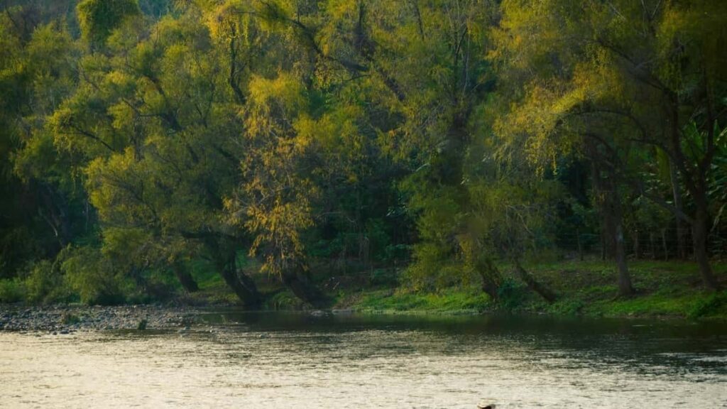 2025 Nigeria LinkedIn Ukukhangisa Amanani Wokukhangisa eSouth Africa