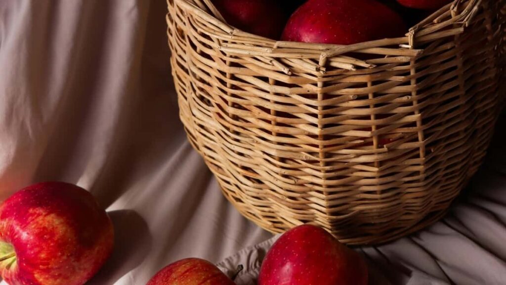 2025 Egypt Facebook AllCategory Advertising Rate Card for South Africa