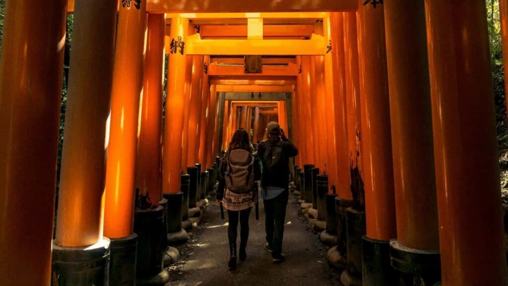 2025 Brazil Pinterest wonke Umkhakha Izinga Lokukhangisa eSouth Africa