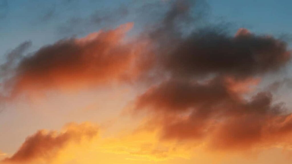 2025 United Arab Emirates TikTok AllCategory Advertising Rate Card South Africa