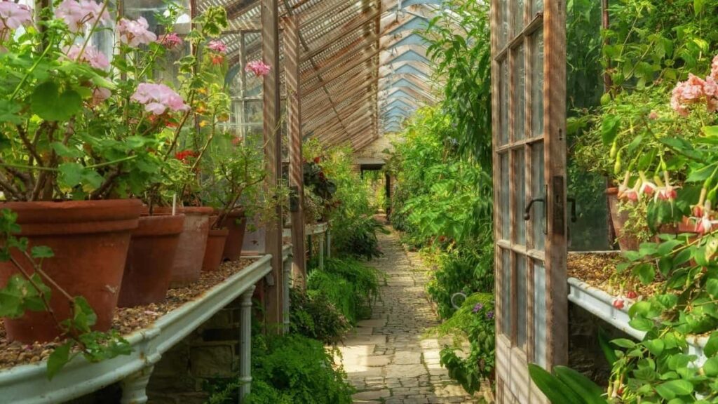 2025 Indonesia WhatsApp AllCategory Advertising Rate Card South Africa