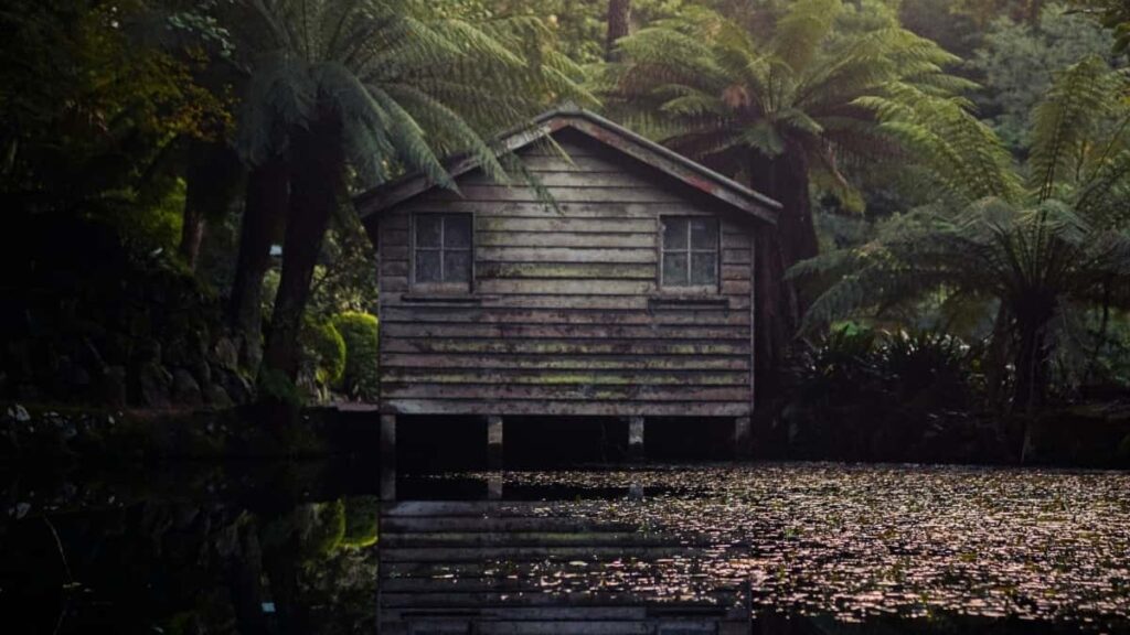 2025 United States Facebook Advertising Rate Card for South Africa