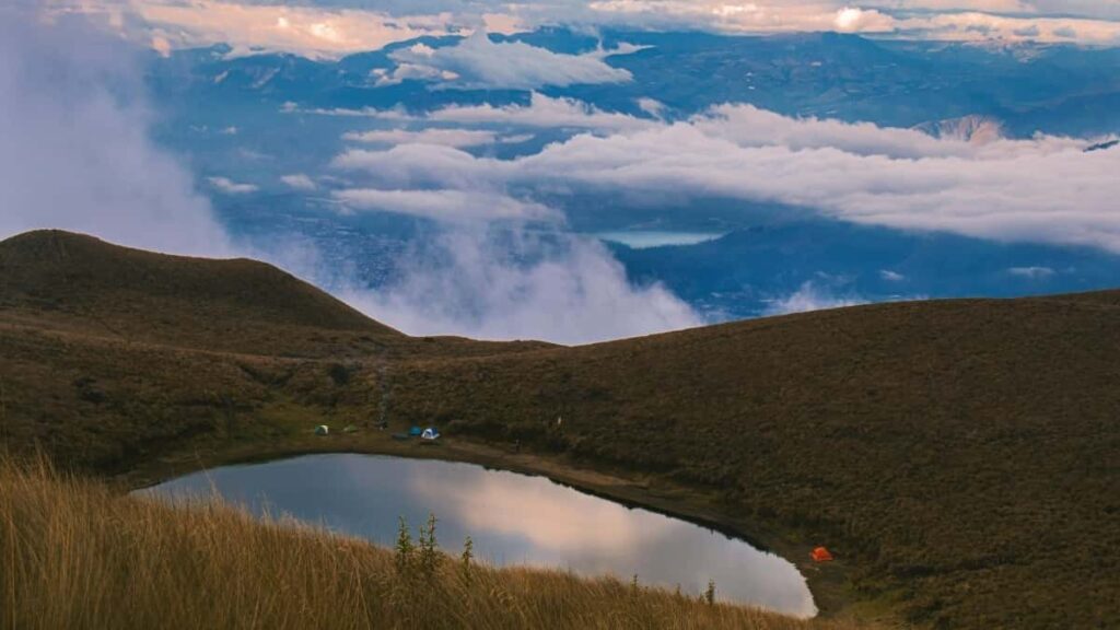 2025 Japan Twitter All Category Advertising Rate Card for South Africa