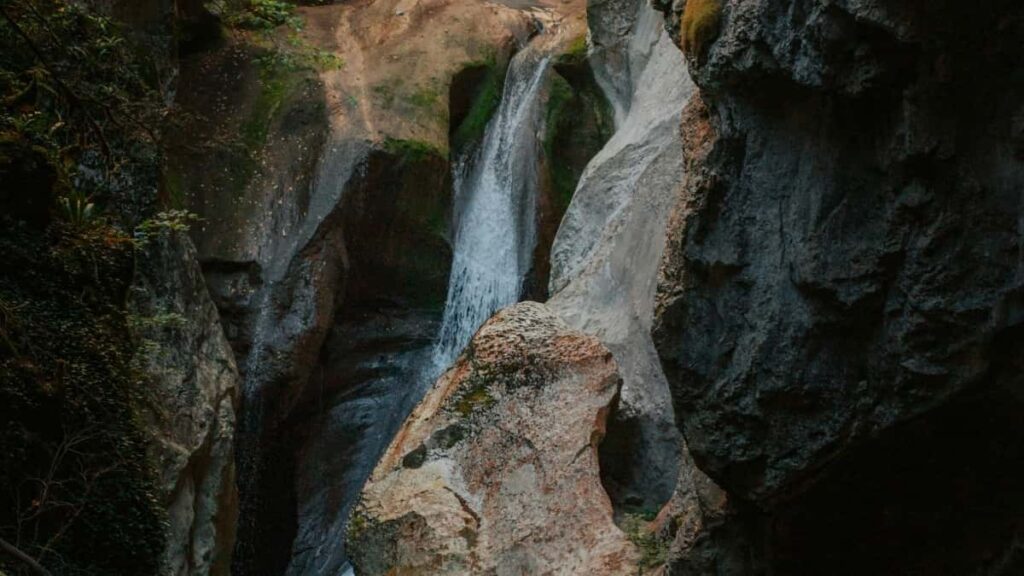 2025 United Arab Emirates Instagram All Category Advertising Rate Card South Africa