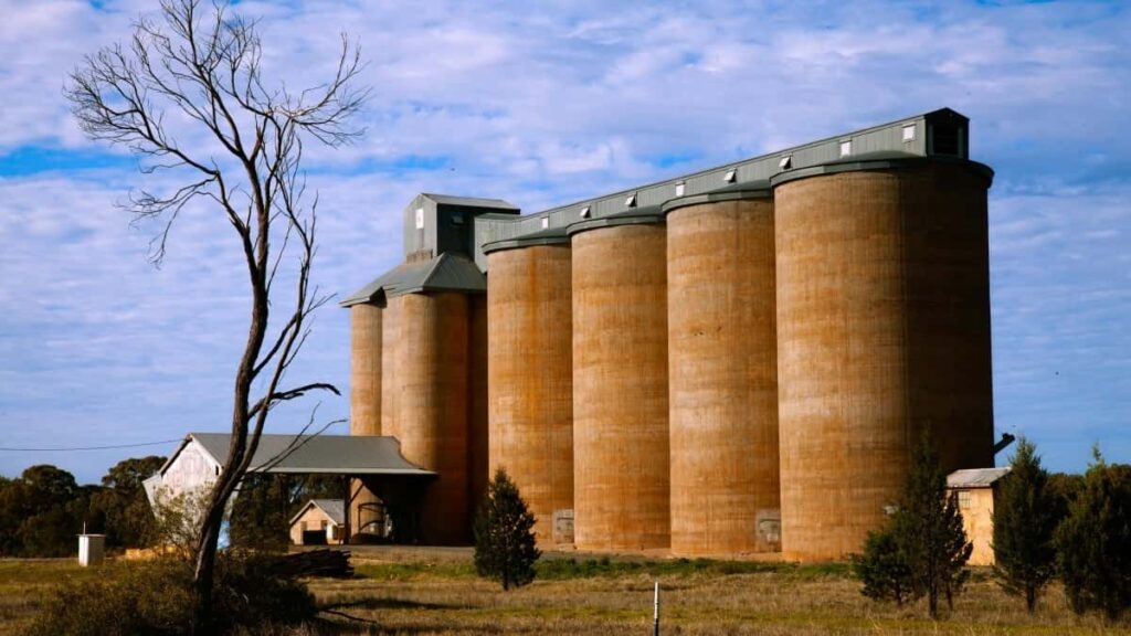 2025 Belgium WhatsApp Advertising Rate Card for South Africa