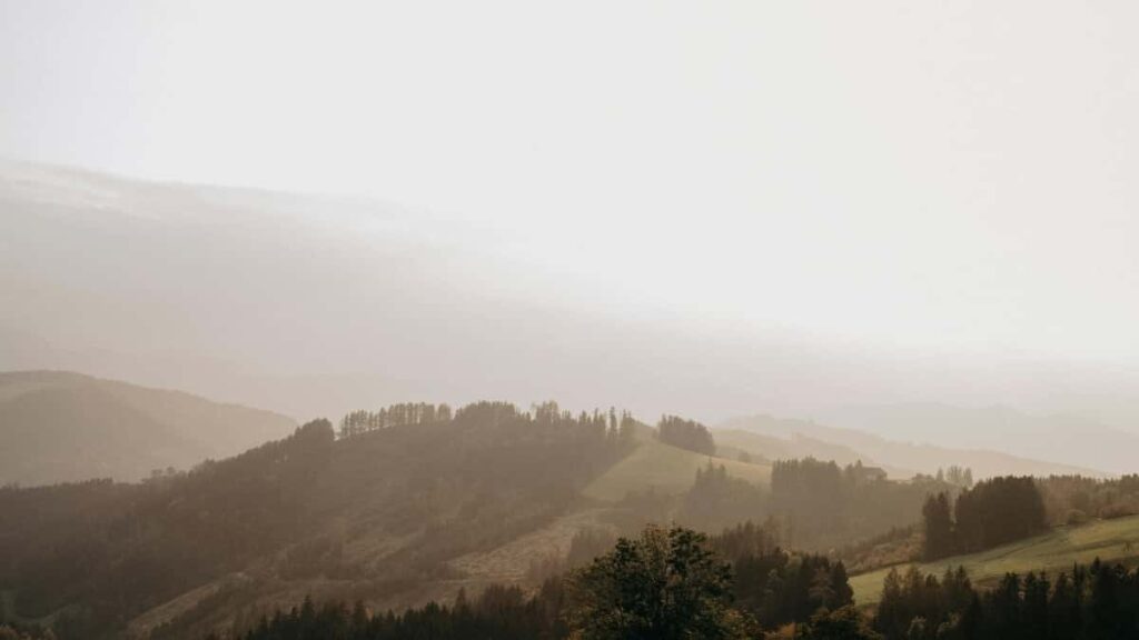 2025 Swaziland LinkedIn Yonke Izigaba Zokukhangisa Amanani Wamanani