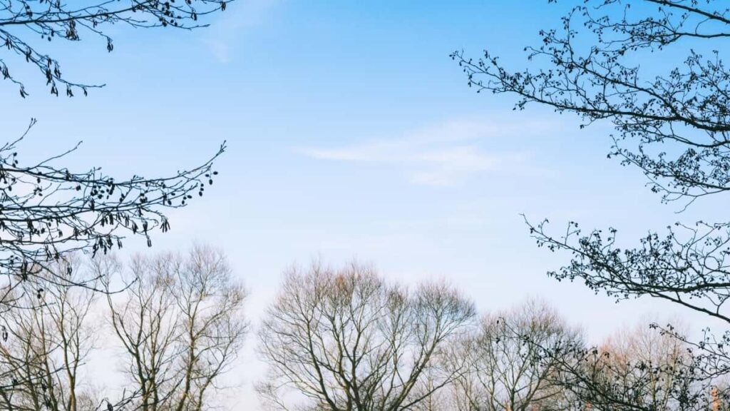 Imithethonqubo Yentengo Yokukhangisa Ye Instagram e Brazil ngo 2025