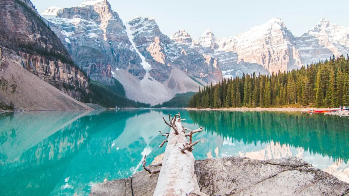 Abadali SA: Finyelela ama-Canada Brands ku-Pinterest, Yenza Imali