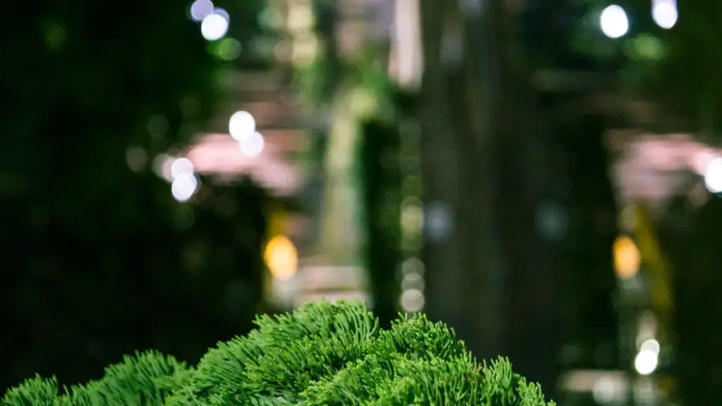 Isiqondisi esisebenzayo sokuthola abadali be-Rumble base-Indonesia ukuxhasa imiqoqo yakho yezingubo — amathiphu wokufuna, ukuhlola, nokuxoxa ngemigomo yokubambisana.