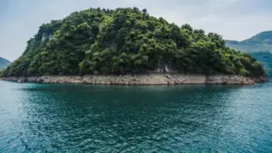 Umbhalo oqondene nabadali baseNingizimu Afrika: amasu angokoqobo okuxhumana namabhizinisi ase-Dominican Republic ku-TikTok ukuze wakhe i-hype yomkhiqizo.