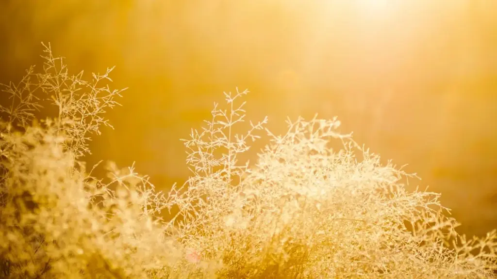 Umhlahlandlela waseNingizimu Afrika wokuthola abakhiqizi abakhangayo be-Netflix base-Indonesia, amaqhinga okuhlunga, ama-platforms, nokuthi ubabandakanye kanjani ukuze uthole izibalo ezingcono zengxoxo.