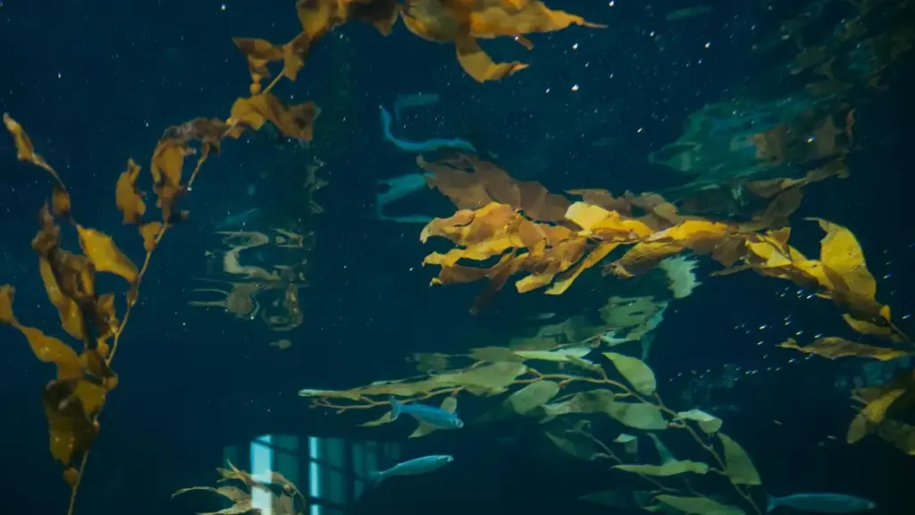 Isiqondisi esisebenzayo sika-2025 sokuxhumana nama-brand ase-Argentina ku-Apple Music ukuze uthole, unbox, bese ubuyekeza ama-PR packages — amasu, iziteshi, nezinto okumele uzihlole.