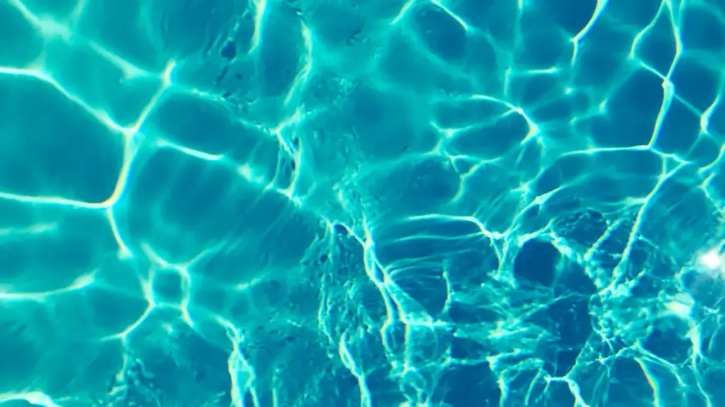 Isu elisebenzayo labadali baseNingizimu Afrika elichaza ukuthi ungaxhumana kanjani nama-brand aseBelgium ku-Amazon ukuze ushukumisele ukubhaliswa kwezifundo online.