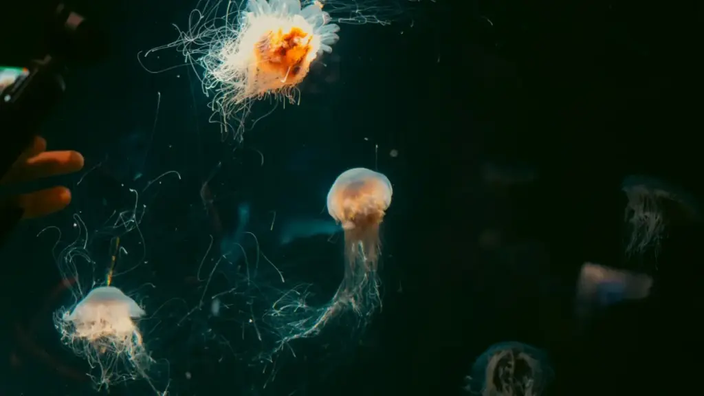 Indlela engasetshenziswa abadali baseNingizimu Afrika ukuxhumana namabhizinisi ase-Paraguay ku-HBO Max ukuze babelane ngezikhuphoni zesikhathi esinqunyiwe — amasu, izingozi, nezincomo ezisebenzayo.