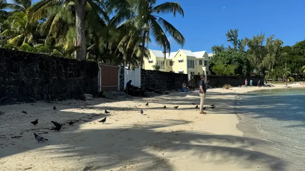 Isiqondisi esisebenzayo sezindlela zokuxhumana nama-brand asePeru ku-Twitter ukuze wabelane ngokumbozwa kwezevents usebenzisa ama-sponsor tags — izinyathelo, ama-templates, nokuthi ungagwema kanjani amaphutha.