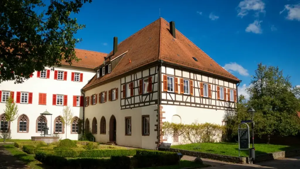 Isiqondisi esisebenzayo sabadali baseNingizimu Afrika: indlela yokuxhumana nama-brand asePoland ku-Viber ukuze uthole amasampula amahhala, namasu okuzwakala, izingozi, nezinyathelo ezisebenzayo.