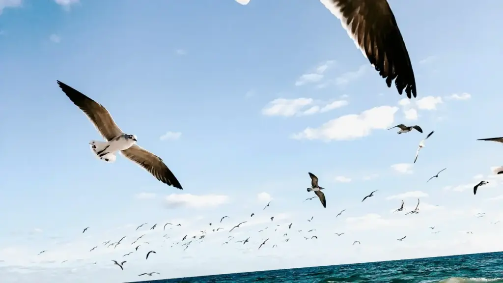 Isiqondisi sendawo sokuthola nabadali bokuqukethwe base-Slovenia abanothando lwe-Disney+ ukuze uqale izifundo zokwenza ama-makeup — amaqhinga, amapulatifomu, nokuthi uqalaphi eNingizimu Afrika.