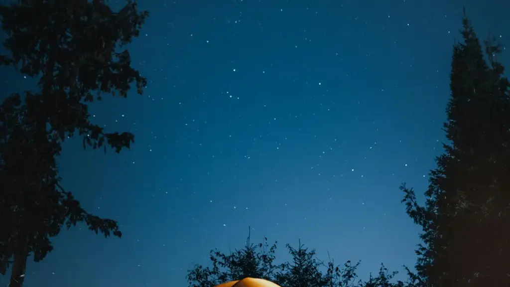 Isiqondiso se-BAOLIBA esisebenzayo sokuthola, ukuhlola futhi ukwakha ubudlelwano besikhathi eside nabadali base-Ukraine be-Amazon abaphakathi kwezinga — amathiphu wezokumaketha waseNingizimu Afrika.