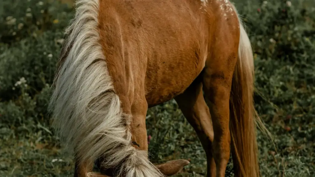 Isiqondisi saseNingizimu Afrika sokuThola ama-Viber creators base-Dominican Republic ukuze wandise ukubonakala kwe-clean beauty brands — amasu afakazekile nezinyathelo ezisebenzayo.