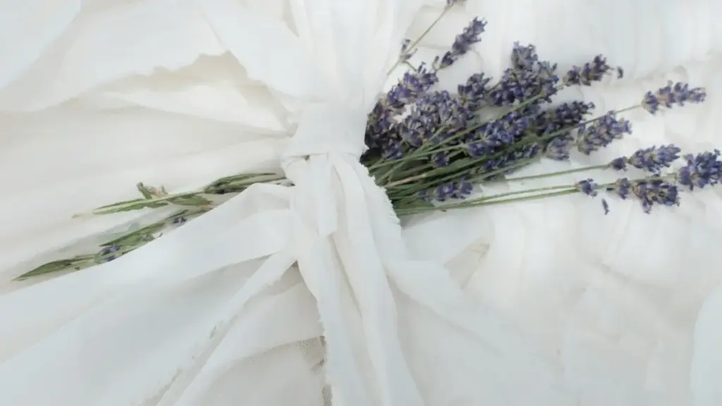 Isiqondiso esisebenzayo sokuthola nokusebenzisa abenzi bokuqukethwe be-Snapchat baseParaguay ukuze uqalise imikhankaso yokuthengisa eholelwa ngabadali.