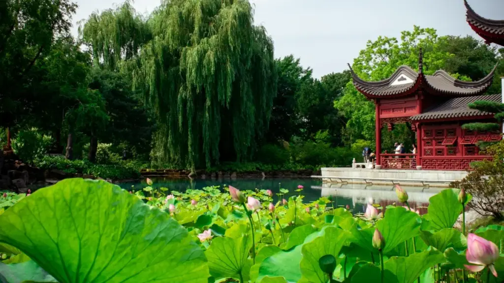 Isiqondisi esisebenzayo sabasebenza nabakhangisi basePoland ku-Shopee ukuze uqale imidlalo yefoni — amasu okuthola, ukuhlunga, nezindlela zokukhokha ezisebenzayo.