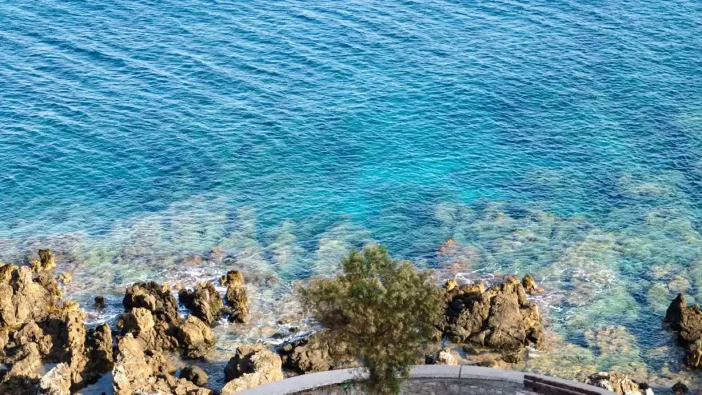 Isiqondiso esisebenzayo sokufinyelela ama-brand ase-Algeria ku-Twitter (X) ukuze nicole iziphakamiso zama-product bundles ezikhethekile — amasu, imiyalezo, izibonelo, nezinyathelo zokwenza ukuvuma kwebhizinisi kwenzeke.