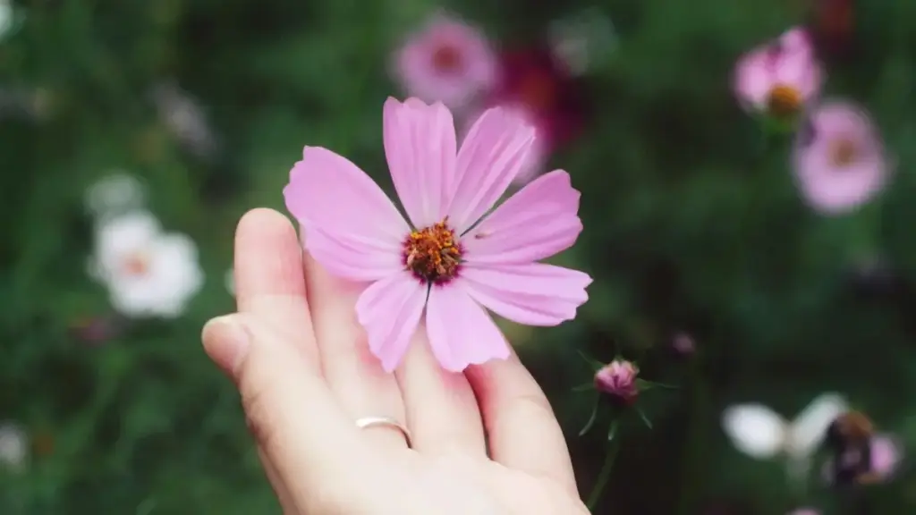 Isiqondiso sokuthola abakhiqizi be-OnlyFans base-Bahrain ukuze uqhube imikhankaso yama-affiliate nge-influencers — amathiphu wokusesha, izingozi, nezinhlelo zokubambisana.