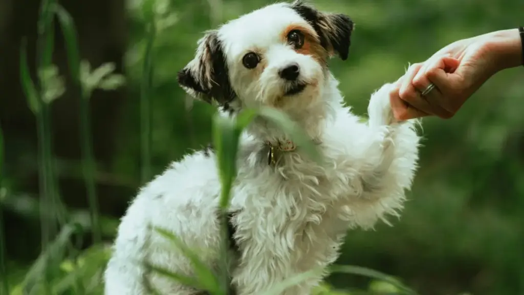 Amacebo angokomsebenzi namasu okuxhumana nama-brand ase-UK kuTakatak ukuze wakhe ama-guides wohambo anempumelelo.