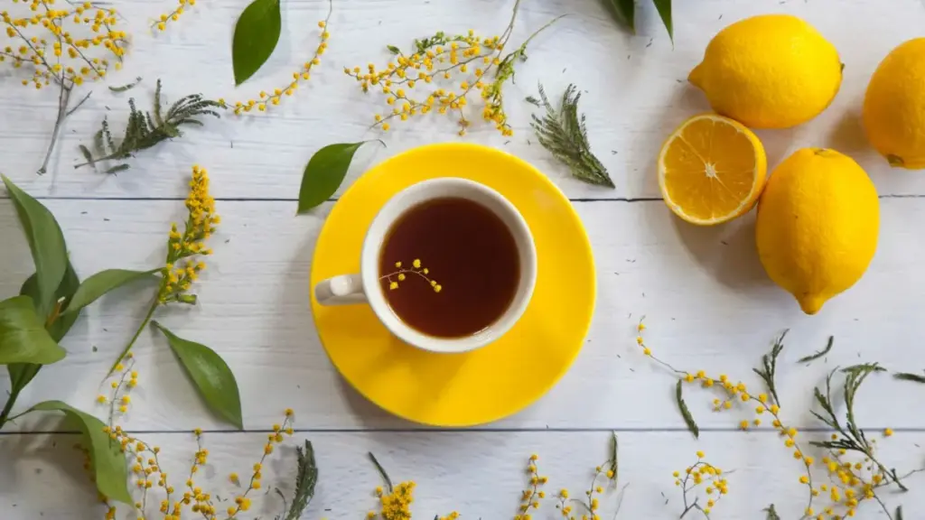 Umhlahlandlela waseNingizimu Afrika wokuxhuma nabadali be-Zalo baseDenmark ukuze uphromothe imikhiqizo emisha, ngezeluleko ezisebenzayo nezindlela zokusebenza.