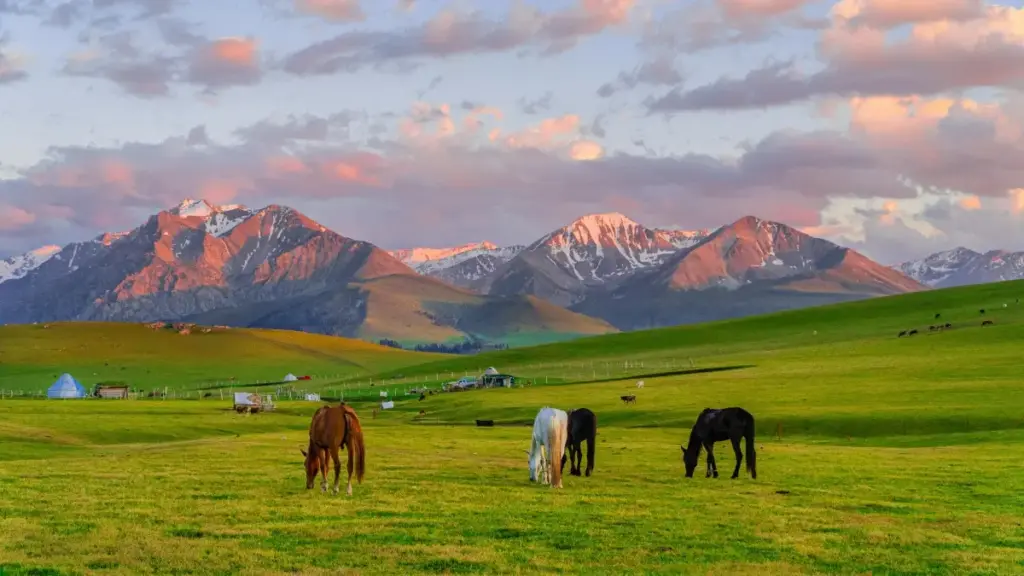 Isiqondisi esisebenzayo sokuthola abakhiqizi be-Etsy base-Ukraine ukuze ucindezele i-flash sale nge-influencer hype — amathiphu wokukhetha, ama-risk, nokuthi usebenzise kanjani imithombo yomphakathi kusukela ku-BaoLiba.