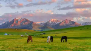 Isiqondisi esisebenzayo sokuthola abakhiqizi be-Etsy base-Ukraine ukuze ucindezele i-flash sale nge-influencer hype — amathiphu wokukhetha, ama-risk, nokuthi usebenzise kanjani imithombo yomphakathi kusukela ku-BaoLiba.