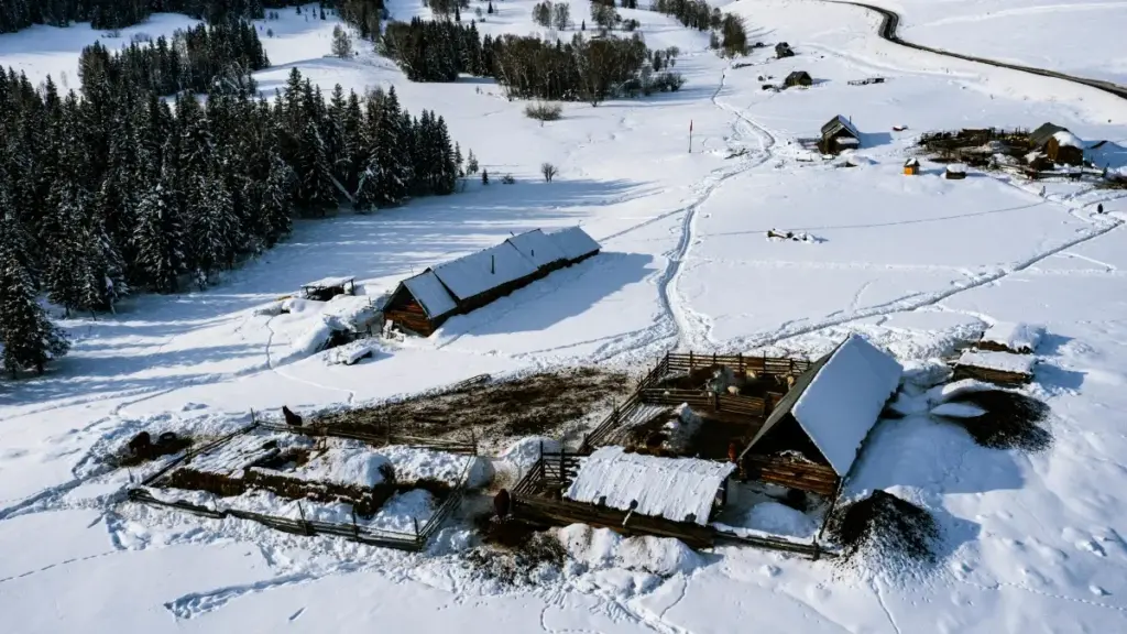 Isiqondiso esisebenzayo sabakhethi baseNingizimu Afrika sokuxhumana nama-brand ase-Austria ku-vkontakte ukuze bahlele live demos — amasu, izibonelo zomkhakha, nezincomo zokusebenzisa i-VPN.