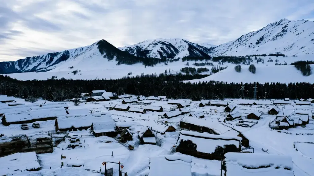 Isiqondiso esisebenzayo sabakhiqizi baseNingizimu Afrika sokuxhumana namabhendi ase-Italy kuNetflix, ukuhlelela ama-haul, nokugcina ukuhambisana nemithetho.