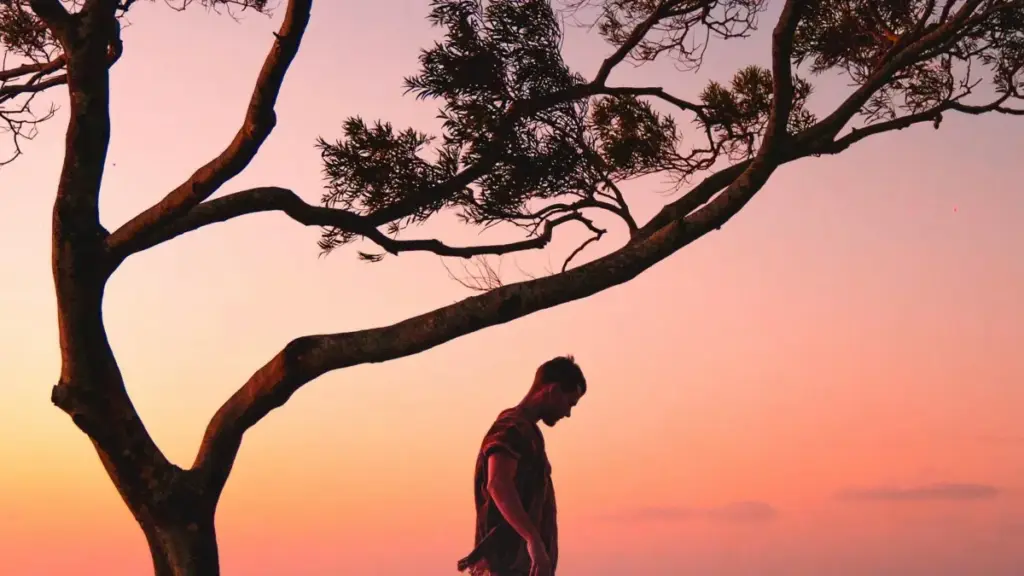 Isiqondiso esisebenzayo sabaculi baseNingizimu Afrika: amaqhinga wokuxhumana namabrendi aseMexico ku‑TikTok ukuze ubukeze amapulatifomu okufunda, izibonelo zangempela, nezinyathelo ezisebenza ku‑2026.