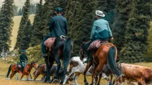 Isu elisebenzayo labadali baseNingizimu Afrika lokuxhumana nama‑brand aseNepal ku‑Disney+ ukuze umele ama‑fitness brands — amasu, ama‑platform, nezinyathelo ezisebenzayo.