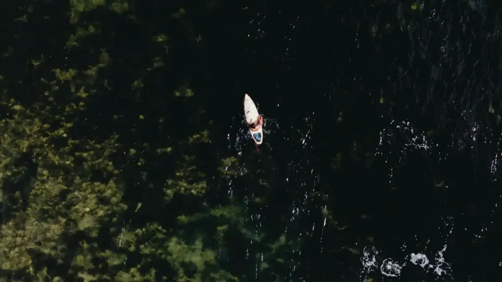 Indlela yesi-South Africa yokuthola nokusebenzisa abakhiqizi be-Netflix base-Uzbekistan ukushayela i-social engagement, ngezindlela eziqondile, amathuluzi, nezibonelo zangempela.