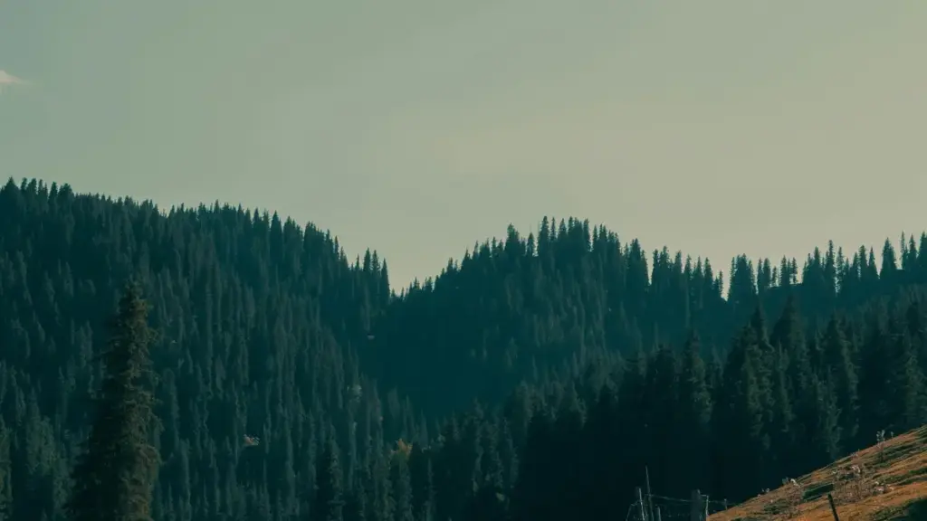 Isiqondisi esisheshayo se-BAOLIBA sokuthola ama-Shopee creators ase-Slovakia ukuze ufinyelele izithameli ezincane nezibhekiswe ku-SaaS trials.